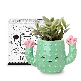 Apa la Papa, Funny Cactus Ceramic Planter, 5 x 3 x 3 in., Exclusive Ceramic Planters for Indoor and Outdoors, Cute Hand Painted Designed in Argentina, Convenient Drain Hole (Green)