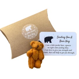 FEXPDL Little Pocket Bear Hug Bear, tiny teddy bear, Cute Comfort Sentimental Gift of You Cards Special Encourage for Kid, Lover, Friend, Family, Couple, Women, Graduation, Birthday (Brown)