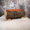 Wooden Trunk with Pot, Real Wood Trunk with Plastic Inner