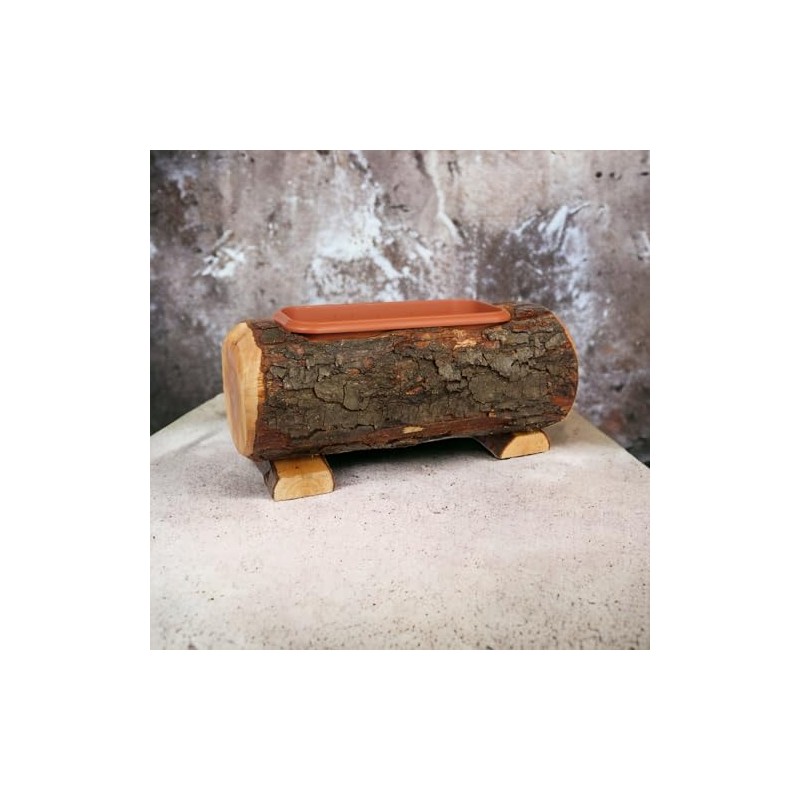 Wooden Trunk with Pot, Real Wood Trunk with Plastic Inner