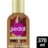 Sedal Shampoo Café y Óleo de Ricino 370 ml