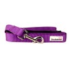 Doodlebone Dog & Puppy Leads - 10 Bold Colours/3 Sizes