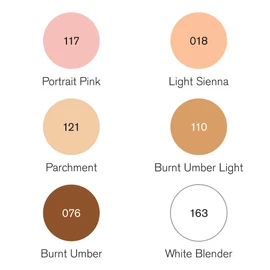 Winsor & Newton Pigment Marker - Skin Tones (Pack of 6)