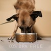 FAHRMOSIS 32 Oz Dog Bowl with Slow Feeder Insert Stainless