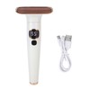 Electric Gua Sha Machine Hot Compress Vibration Skin Tightening Lifting