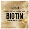 Pantene Pro-V 3 Minute Miracle Daily Moisture Renewal Conditioner 400mL