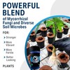 Great White Mycorrhizal Fungi, Beneficial Bacteria for Plant Growth, Root