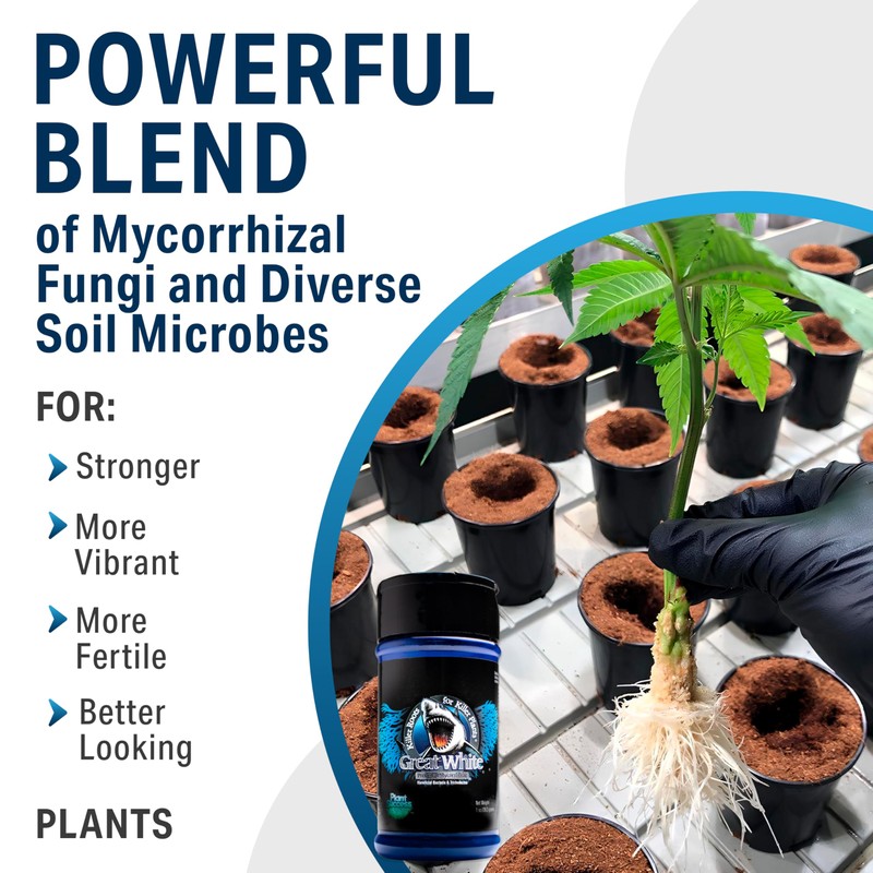 Great White Mycorrhizal Fungi, Beneficial Bacteria for Plant Growth, Root