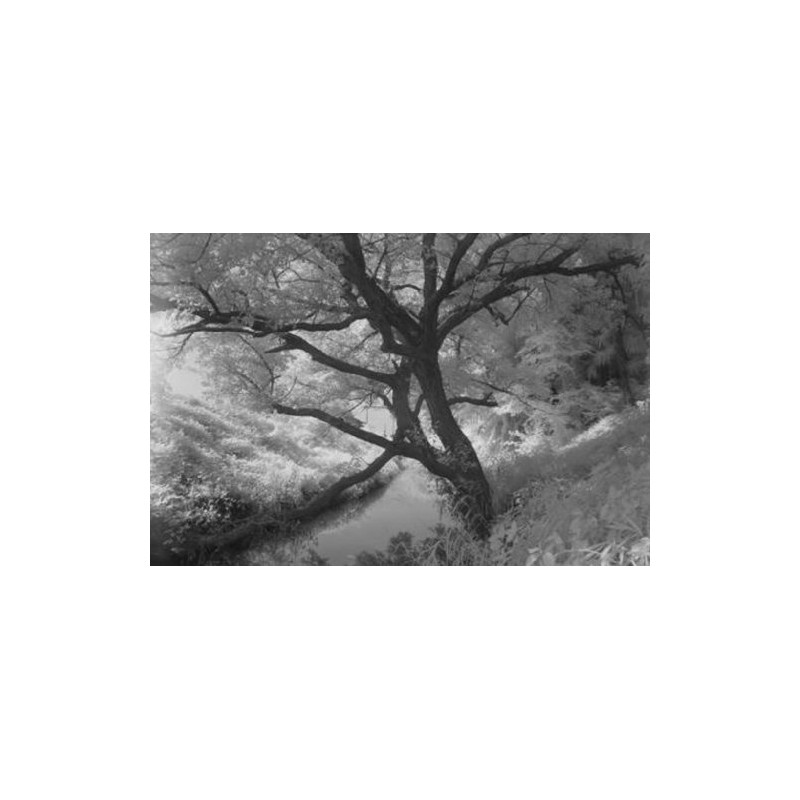 Hoya 67mm Infrared R72 Filter