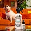 Pet-Pourri Pet Odor Air + Fabric Odor Eliminator Spray, Pawsitively