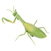 Remote Control Insects RC Animals Children Adults Trick Toys Electric