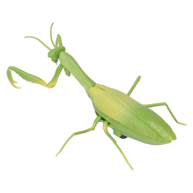 Remote Control Insects RC Animals Children Adults Trick Toys Electric