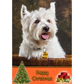 Westie/West Highland Terrier Dog Christmas Card 'Happy Christmas' - Special Animal Xmas Card for Him Her from Pets Kids
