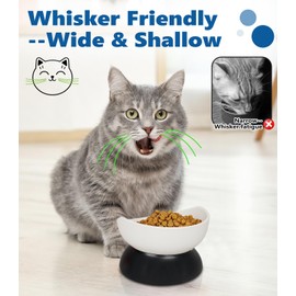 Raised Cat Bowls Whisker Friendly Melamine Elevated Cat Food Bowl for Indoor Kitten Feeding Wet & Dry Food Dish