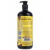CABALLADA Shampoo Cola de Caballo Labs Incredible Concentrado, Keratina, Agua