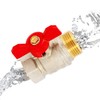 Ball Valve with Butterfly Handle Pack Nut Female Thread 1/2