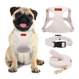 No Pull Dog Harness- Lightweight, Soft, Adjustable Small Harness Collar and Leash Set, Suitable for Cats Puppy Small and Medium-Sized Dog Outdoor Training and Running (Beige, M)