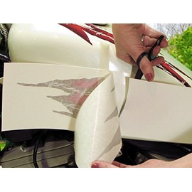 East Coast Vinyl Werkz - 20pc - Ripped Barbed Wire - Decal kit for Motorcycle tank, fenders, helmet - Harley Davidson and all motorcycles (Fruitpunch)