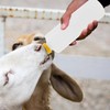 DOITOOL 5pcs 400ml Lamb Feeding Bottle, Small Animal Milk Bottle