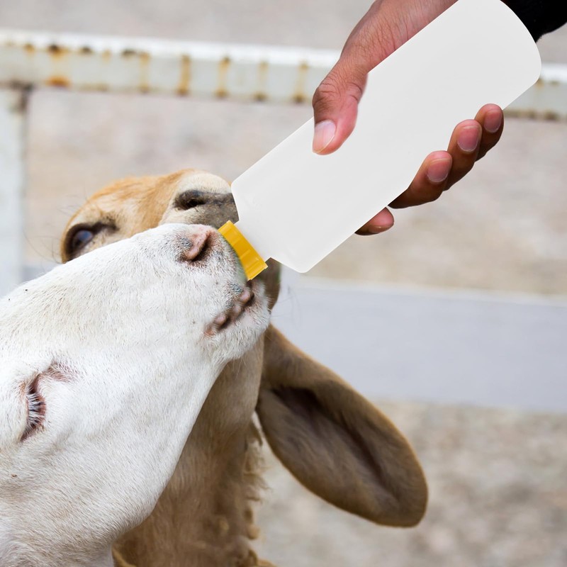 DOITOOL 5pcs 400ml Lamb Feeding Bottle, Small Animal Milk Bottle