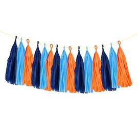 ZOOYOO Tassel Garland Tissue Paper Tassel Banner Table Decor, DIY Kits for Bluey Party,Blippi Theme,Birthday,Graduation Party Decorations,Pack of 15 (Blue Orange)