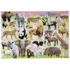 35 Piece Kids Puzzles Full of Animals [Picture Puzzle]