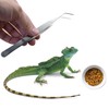HAICN 3Pcs Reptile Bowl with Stainless Steel Tweezers Ceramic Bowl