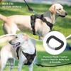 Sunraymascota No Pull Dog Harness, Puppy Vest with Front Clip