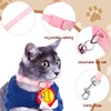 Amylove 48 Pcs Dog Collar and Leash Set, Polypropylene Adjustable