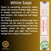 Satya Nag Champa White Sage Incense Sticks Pack of 3