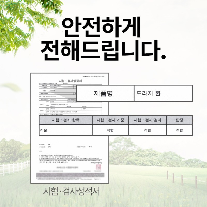 Mom's Aeson Bellflower Hwan 500g Domestic / 엄마애손 도라지환 500g
