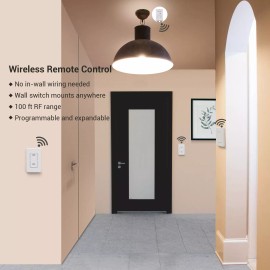 DEWENWILS Wall Switch Remote Control Lighting Fixture for Ceiling Lights, Fans,