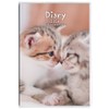 Nakabayashi NS-A601-26CA3 Notebook, 2026 Note Diary, A6, Cat 3