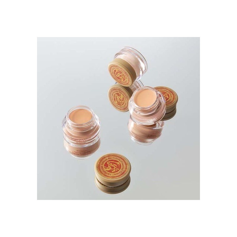 skin food [Skinfood] Renewal Salmon Concealer (Select Color) No. 0