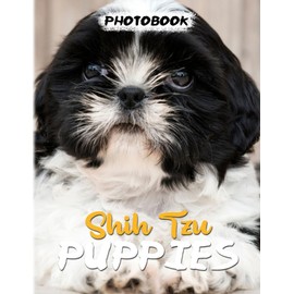 Shih Tzu Puppies Photo Book: Photography Book With 40 Beautiful Photos Of This Dog | Gifts For Kids To Learn More About Animal