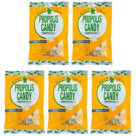 プロポリスキャンディ のど飴 はちみつ入 1袋100g入り×5袋セット カリン ハーブ 梅エキス配合 …