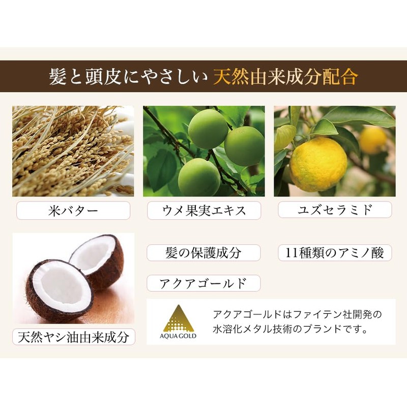 ファイテン(phiten) ロックインカラー シャンプー b 300ml 0916HSH91001