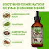 Animal Essentials Colon Rescue for Dogs & Cats - Herbal