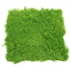 SUPVOX Artificial Moss Mat Light Green 50x50cm Simulation Moss Pad