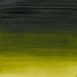 Winsor & Newton 200ml Professional Acrylic Colour Tube - Permanent Sap Green