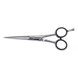 Aashta Tijera Aashta Barbero/estilismo Acero 5.5 Basic Color Plateado