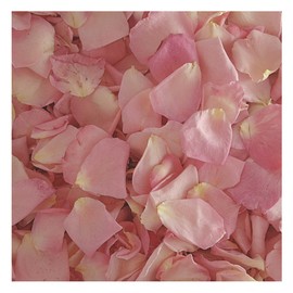 Bridal Pink Rose Petals Sale on 15 Cups of Preserved Freeze-Dried Petals. Wedding Confetti Petals from Flyboy Naturals. Made in The USA. No Tariffs.