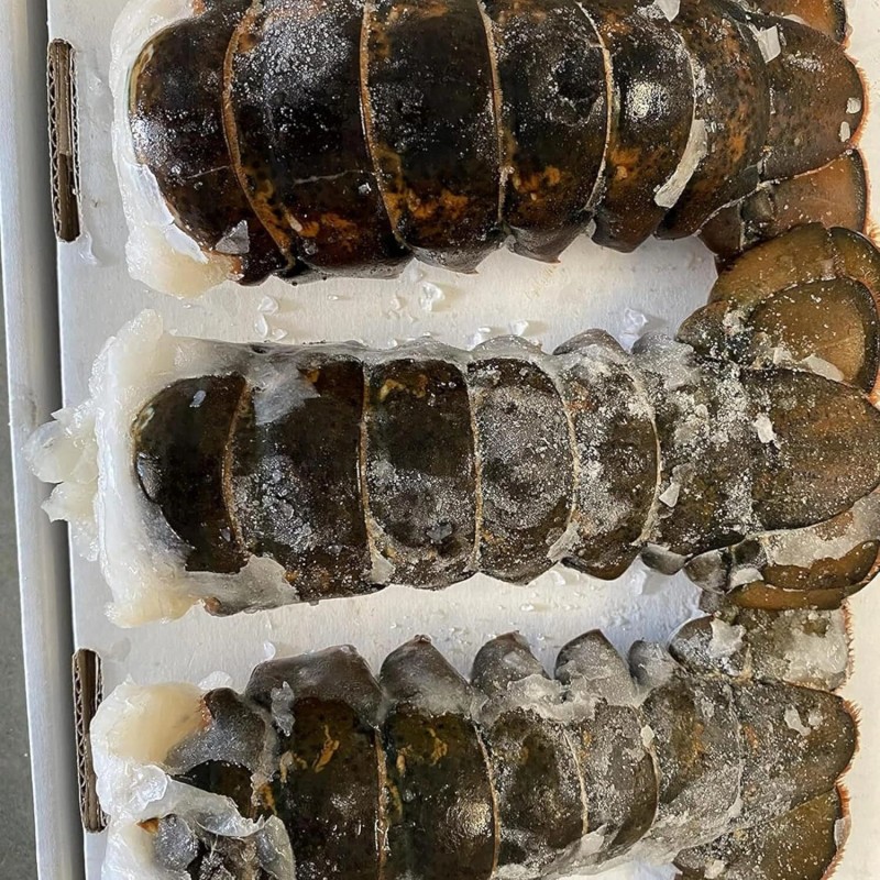 Today Gourmet Foods- Maine Lobster Tails 10oz-12oz - 2 Tails