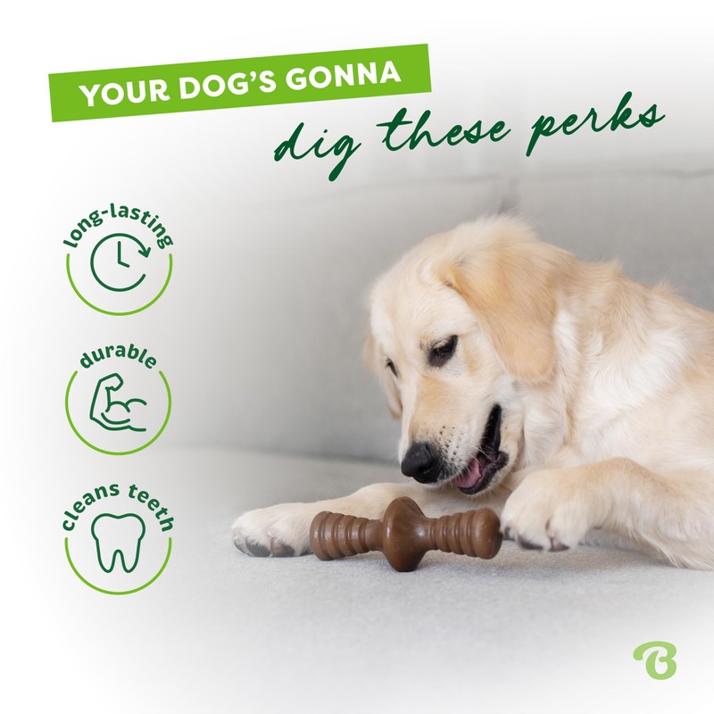Benebone Zaggler Rolling Dog Chew Toy for Aggressive Chewers, Real