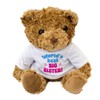 WORLDS BEST BIG SISTER - Teddy Bear - Cute Soft