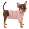 LOPHIPETS Small Dog Turtleneck Sweaters for Teacup Chihuahua Yorkie Puppy