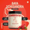 Hongos Adaptógenos Hongo Baya Schisandra 120 Cápsulas Suplemento Natural Más