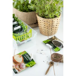 BranQ kitchen organiser, plastic, green, 30.3 x 12.8 x 8 cm