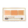 Cézanne 세잔느 팔레트 밀착 커버 매트 실키 컨실러 하이커버 Cézanne Palette Fit Cover Matte Silky Concealer High Cover