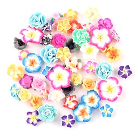Assorted 50 Pack Tropical Flower Resin Charms Hawaiian Bali Plumeria Flatback Cabochons Flatback Plastic Beads for Miniature Fairy Garden Accessories Scrapbooking Home Decor Supplies